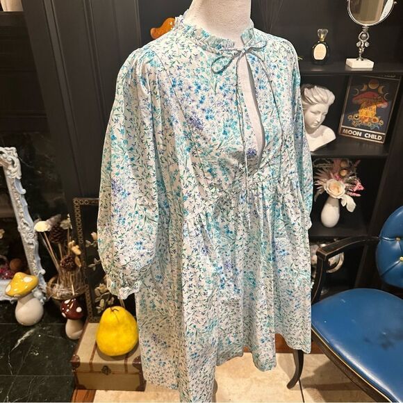Zara Bloggers Favorite Blue Floral Poplin Dress Size Small - Picture 11 of 13